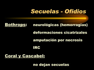 Secuelas - Ofidios Bothrops :  neurológicas (hemorragias) deformaciones cicatrizales amputación por necrosis IRC Coral y Cascabel: no dejan secuelas 