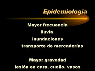 Epidemiología Mayor frecuencia lluvia  inundaciones transporte de mercaderías Mayor gravedad lesión en cara, cuello, vasos 