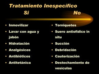 Tratamiento Inespecífico  Si  No   Inmovilizar  Lavar con agua y jabón Hidratación Analgésicos Antibióticos Antitetánica Torniquetes Suero antiofídico in situ Succión Debridación Cauterización Destechamiento de vesículas 