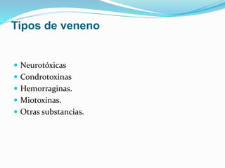 Tipos de veneno 
 Neurotóxicas 
 Condrotoxinas 
 Hemorraginas. 
 Miotoxinas. 
 Otras substancias. 
 