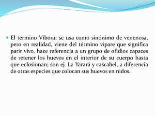  El término Víbora; se usa como sinónimo de venenosa, 
pero en realidad, viene del término vipare que significa 
parir vivo, hace referencia a un grupo de ofidios capaces 
de retener los huevos en el interior de su cuerpo hasta 
que eclosionan; son ej. La Yarará y cascabel, a diferencia 
de otras especies que colocan sus huevos en nidos. 
 