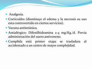  Analgesia. 
 Corticoides (disminuye el edema y la necrosis su uso 
esta controvertido en ciertos servicios). 
 Vacuna antitetánica. 
 Antialérgico: Difenilhidramina 2-4 mg/Kg./d. Previa 
administración del suero antiveneno. 
 Cumplida está primer etapa se trasladara al 
accidentado a un centro de mayor complejidad. 
 