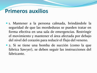 Primeros auxilios 
 1. Mantener a la persona calmada, brindándole la 
seguridad de que las mordeduras se pueden tratar en 
forma efectiva en una sala de emergencias. Restringir 
el movimiento y mantener el área afectada por debajo 
del nivel del corazón para reducir el flujo del veneno. 
 2. Si se tiene una bomba de succión (como la que 
fabrica Sawyer), se deben seguir las instrucciones del 
fabricante. 
 