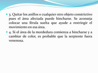  3. Quitar los anillos o cualquier otro objeto constrictivo 
pues el área afectada puede hincharse. Se aconseja 
colocar una férula suelta que ayude a restringir el 
movimiento en esa área. 
 4. Si el área de la mordedura comienza a hincharse y a 
cambiar de color, es probable que la serpiente fuera 
venenosa. 
 