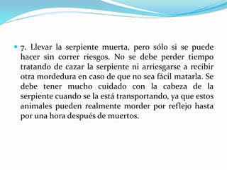  7. Llevar la serpiente muerta, pero sólo si se puede 
hacer sin correr riesgos. No se debe perder tiempo 
tratando de cazar la serpiente ni arriesgarse a recibir 
otra mordedura en caso de que no sea fácil matarla. Se 
debe tener mucho cuidado con la cabeza de la 
serpiente cuando se la está transportando, ya que estos 
animales pueden realmente morder por reflejo hasta 
por una hora después de muertos. 
 