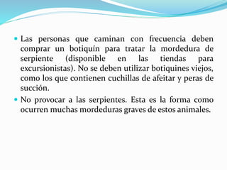  Las personas que caminan con frecuencia deben 
comprar un botiquín para tratar la mordedura de 
serpiente (disponible en las tiendas para 
excursionistas). No se deben utilizar botiquines viejos, 
como los que contienen cuchillas de afeitar y peras de 
succión. 
 No provocar a las serpientes. Esta es la forma como 
ocurren muchas mordeduras graves de estos animales. 
 