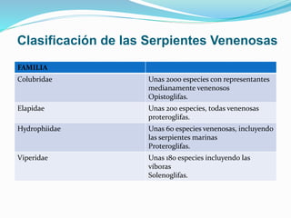 Clasificación de las Serpientes Venenosas 
FAMILIA 
Colubridae Unas 2000 especies con representantes 
medianamente venenosos 
Opistoglifas. 
Elapidae Unas 200 especies, todas venenosas 
proteroglifas. 
Hydrophiidae Unas 60 especies venenosas, incluyendo 
las serpientes marinas 
Proteroglifas. 
Viperidae Unas 180 especies incluyendo las 
víboras 
Solenoglifas. 
 