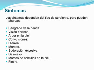 Síntomas 
Los síntomas dependen del tipo de serpiente, pero pueden 
abarcar: 
 Sangrado de la herida. 
 Visión borrosa. 
 Ardor en la piel. 
 Convulsiones. 
 Diarrea. 
 Mareos. 
 Sudoración excesiva. 
 Desmayo. 
 Marcas de colmillos en la piel. 
 Fiebre. 
 