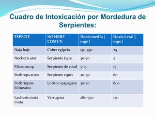 Cuadro de Intoxicación por Mordedura de 
Serpientes: 
ESPECIE NOMBRE 
COMUN 
Dosis media ( 
mgs ) 
Dosis Letal ( 
mgs ) 
Naja haje Cobra egipcia 150-350 25 
Nochetis ater Serpiente tigre 30-70 2 
Micrurus sp Serpiente de coral 5-15 15 
Bothrops atrox Serpiente equis 20-50 60 
Bothriopsis 
bilineatus 
Lorito o papagayo 30-70 800 
Lachesis muta 
muta 
Verrugosa 280-550 170 
 
