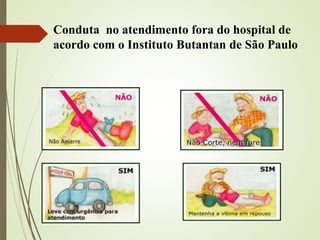 Conduta no atendimento fora do hospital de
acordo com o Instituto Butantan de São Paulo
 