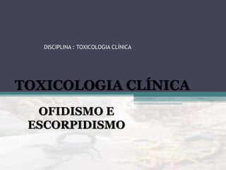 DISCIPLINA : TOXICOLOGIA CLÍNICA
TOXICOLOGIA CLÍNICA
OFIDISMO E
ESCORPIDISMO
 