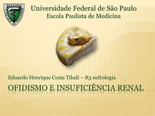 Universidade Federal de São Paulo
Escola Paulista de Medicina

Eduardo Henrique Costa Tibali – R3 nefrologia

OFIDISMO E INSUFICIÊNCIA RENAL

 