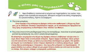 1. Αφού διαβάσετε προσεκτικά το κείμενο και παρατηρήσετε την εικόνα, περι-
γράψτε έναν κυκλαδίτικο ανεμόμυλο. Μπορείτε να βρείτε και άλλες πληροφορίες
σε εγκυκλοπαίδειες. Πρέπει να αναφέρετε:
● Πού είναι χτισμένος.
Στην κορυφή ενός απόκρημνου βράχου απλώνεται αφιθεατρικά η Χώρα της Σερί-
φου, με τα ολόλευκα σπιτάκια αγκαλιασμένα σφιχτά, με τα πλακόστρωτα δρομάκια και
τους τρεις ανεμόμυλους να δεσπόζουν στην πλατεία των Μύλων.
● Πώς είναι (ποια εντύπωση δημιουργεί όπως τον αντικρίζουμε, ποια είναι τα γενικά χαρακτη-
ριστικά της κατασκευής του, από τι υλικά είναι φτιαγμένος).
Οι κάτασπροι ανεμόμυλοι στη Χώρα της Σερίφου στέκουν επιβλητικοί κόντρα στον ά-
νεμο. Είναι πάρα πολύ εντυπωσιακά κτίσματα. Έχουν σχήμα κυλίνδρου. Είναι χτισμέ-
νοι από ακανόνιστη πέτρα, με ξύλινη κωνική στέγη σκεπασμένη με χόρτα. Στο ψηλότε-
ρο σημείο των κυλινδρικών αυτών πύργων βρίσκονται οι ξύλινες φτερωτές με οριζό-
ντιους άξονες κατακόρυφων πτερυγίων, που όμως δεν μπορούν να περιστραφούν. Η
μικρή είσοδος των μύλων οδηγεί σε μια μικρή πέτρινη σκάλα και από εκεί σε ένα ξύλι-
νο πατάρι. Στο ισόγειο υπάρχει η στρογγυλή μυλόπετρα.
 