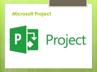 Microsoft Project
 