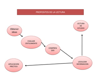 PROPOSITOS DE LA LECTURA
                      PROPOSITOS DE LA LECTURA



                                                 LECTURA
                                                    DE
                                                 ESTUDIO
 Obtener
  ideas


                EVALUAR
              CRITICAMENTE

                                COMPREN
                                  DER




                                                   LOCALIZAR
APELICACION                                      INFORMACION
 PRECTICA
 