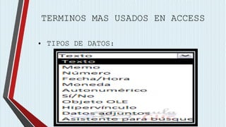 TERMINOS MAS USADOS EN ACCESS 
• TIPOS DE DATOS: 
 
