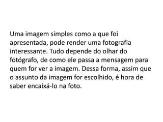 Uma imagem simples como a que foi
apresentada, pode render uma fotografia
interessante. Tudo depende do olhar do
fotógrafo, de como ele passa a mensagem para
quem for ver a imagem. Dessa forma, assim que
o assunto da imagem for escolhido, é hora de
saber encaixá-lo na foto.
 