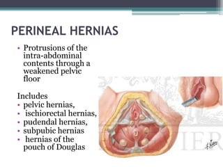 • Three options for repair of the perineal hernia
I. Transperitoneal
II. Perineal
III. Combined
Transperitoneal approach:
...