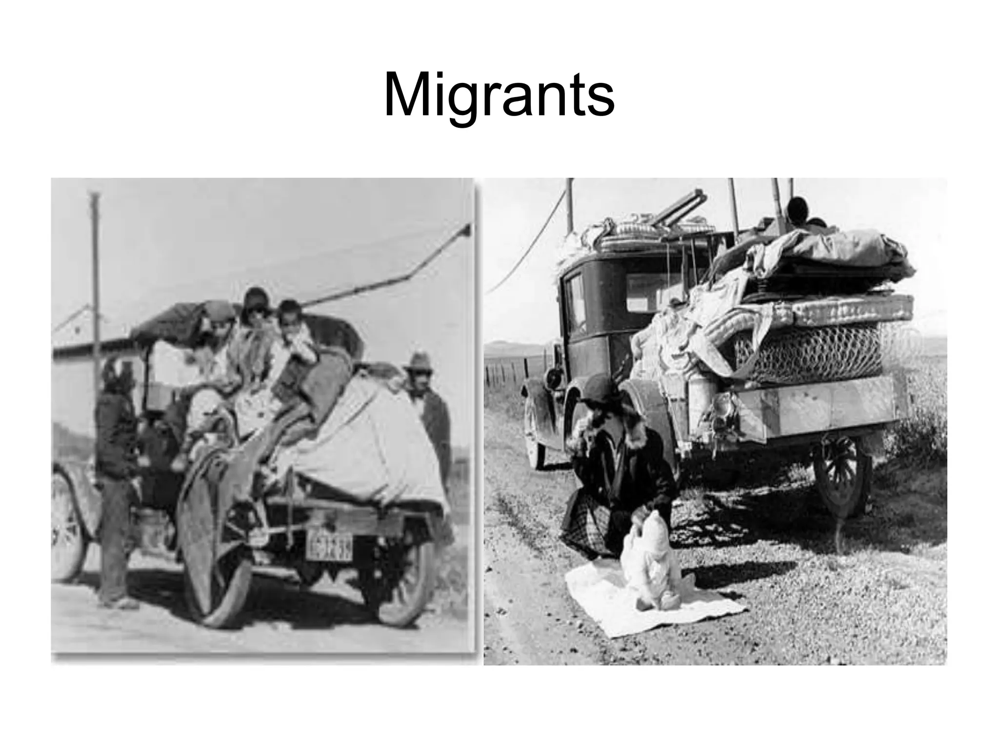 Migrants
 