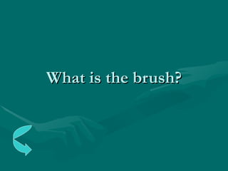 What is the brush? 