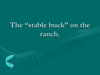 The “stable buck” on the ranch. 