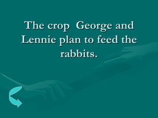 The crop  George and Lennie plan to feed the rabbits. 