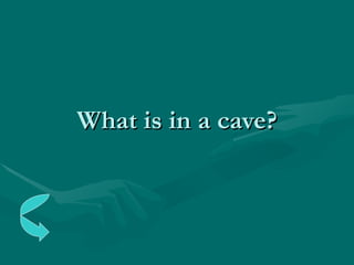What is in a cave? 