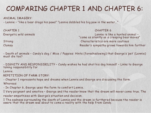 Characterization essay