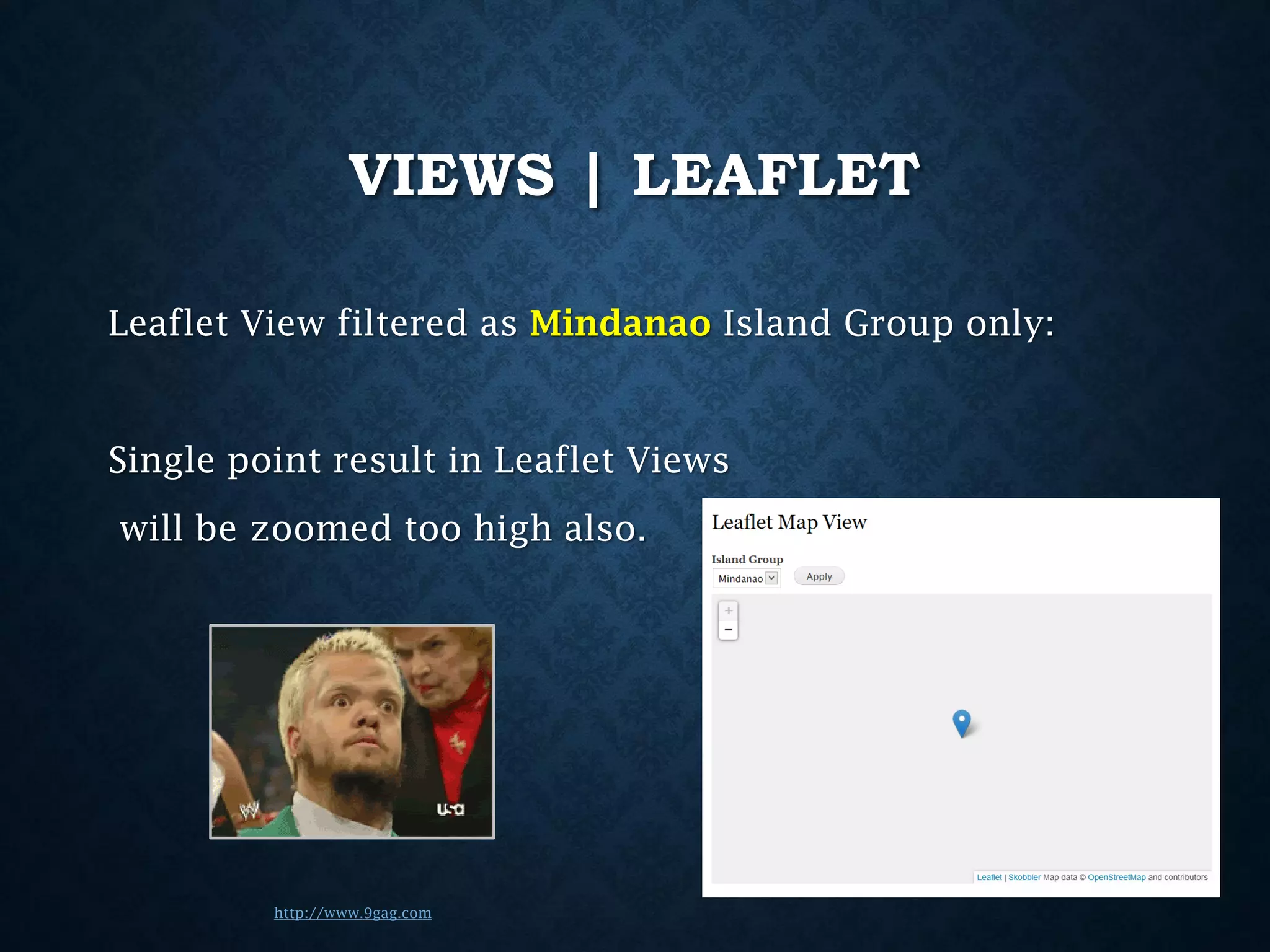 VIEWS | LEAFLET
Leaflet View filtered as Mindanao Island Group only:

Single point result in Leaflet Views
will be zoomed too high also.

http://www.9gag.com

 