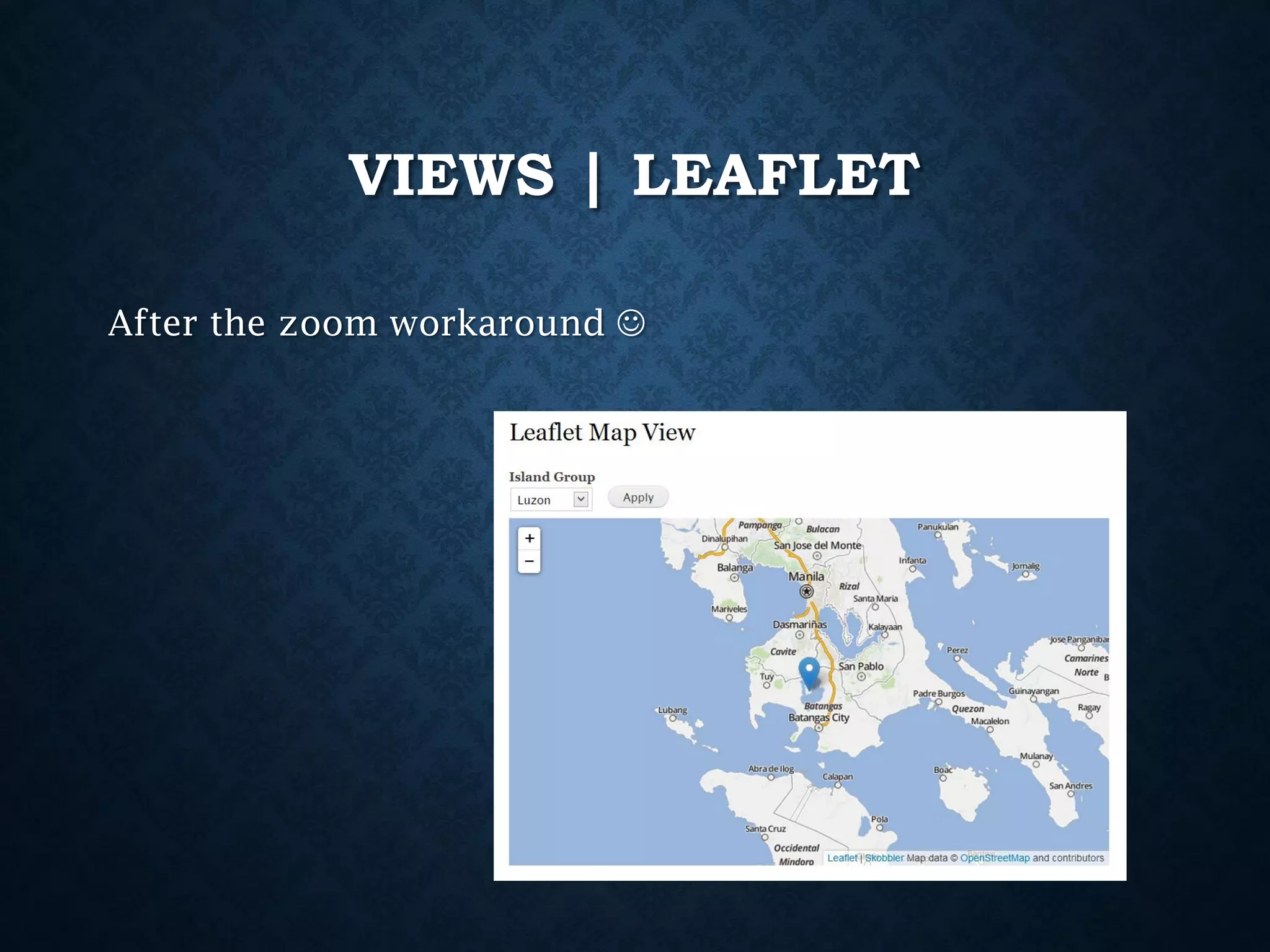 VIEWS | LEAFLET
After the zoom workaround 

 