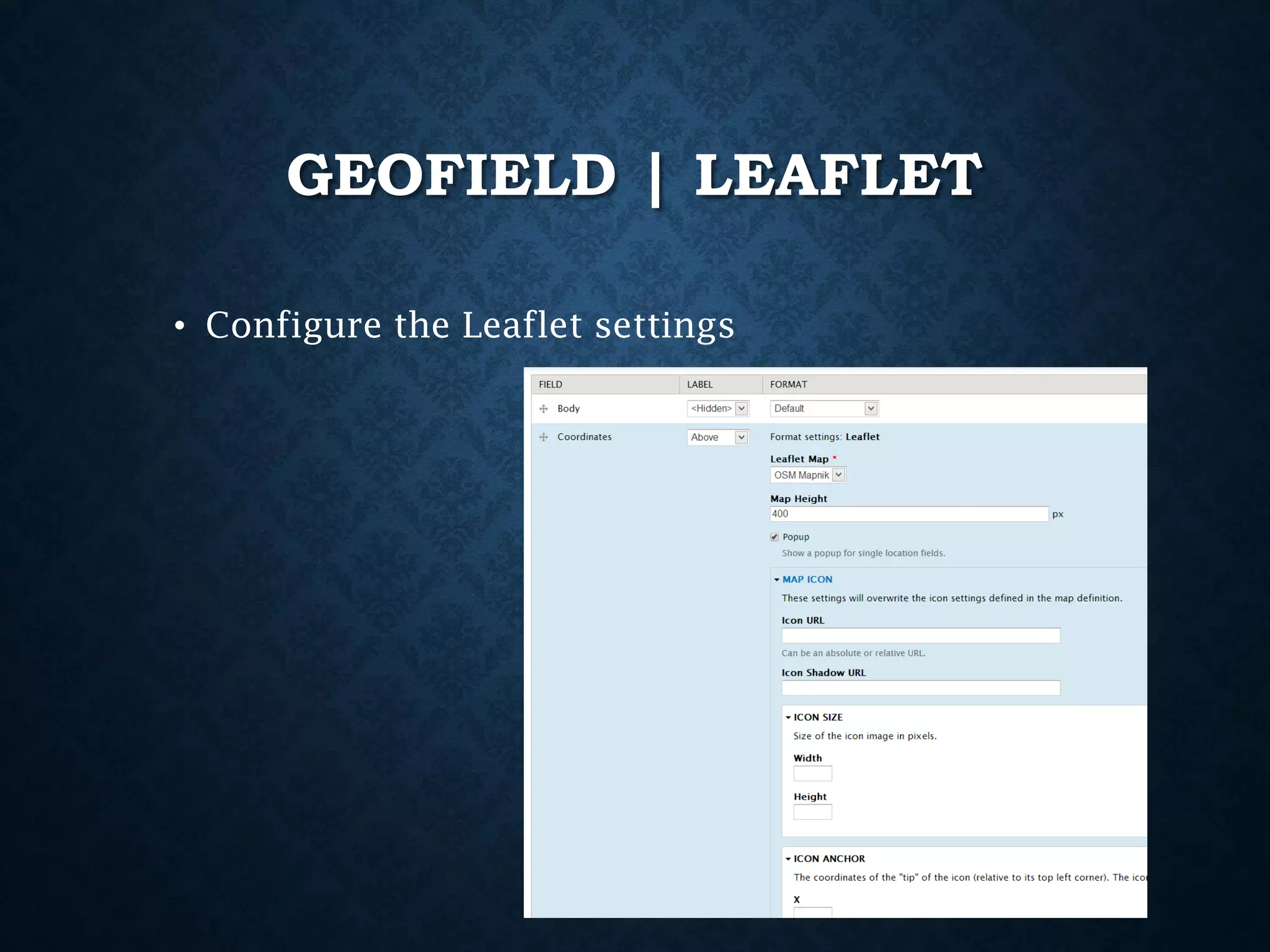 GEOFIELD | LEAFLET
• Configure the Leaflet settings

 