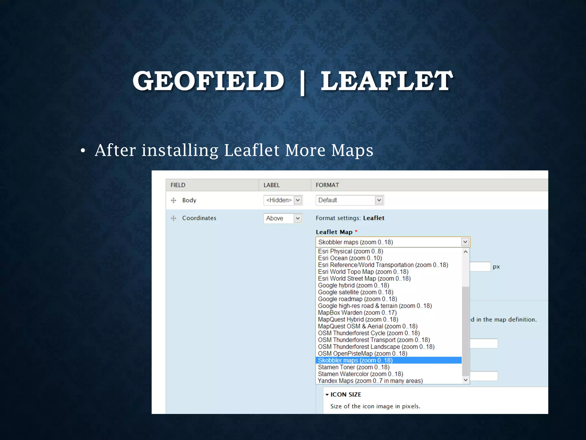 GEOFIELD | LEAFLET
• After installing Leaflet More Maps

 