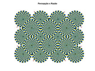 Percepção x Razão
 