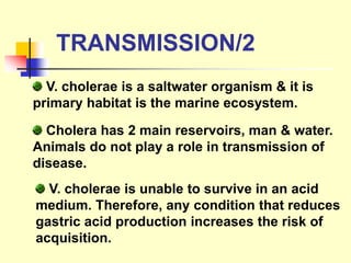 V. cholerae is a saltwater organism & it is
primary habitat is the marine ecosystem.
Cholera has 2 main reservoirs, man & water.
Animals do not play a role in transmission of
disease.
V. cholerae is unable to survive in an acid
medium. Therefore, any condition that reduces
gastric acid production increases the risk of
acquisition.
TRANSMISSION/2
 