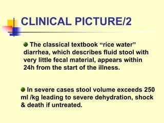 In severe cases stool volume exceeds 250
ml /kg leading to severe dehydration, shock
& death if untreated.
The classical textbook “rice water”
diarrhea, which describes fluid stool with
very little fecal material, appears within
24h from the start of the illness.
CLINICAL PICTURE/2
 