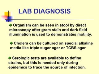 LAB DIAGNOSIS
Organism can be seen in stool by direct
microscopy after gram stain and dark field
illumination is used to demonstrates motility.
Cholera can be cultured on special alkaline
media like triple sugar agar or TCBS agar.
Serologic tests are available to define
strains, but this is needed only during
epidemics to trace the source of infection.
 