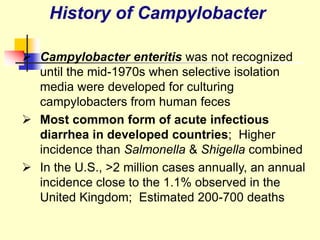  Campylobacter enteritis was not recognized
until the mid-1970s when selective isolation
media were developed for culturing
campylobacters from human feces
 Most common form of acute infectious
diarrhea in developed countries; Higher
incidence than Salmonella & Shigella combined
 In the U.S., >2 million cases annually, an annual
incidence close to the 1.1% observed in the
United Kingdom; Estimated 200-700 deaths
History of Campylobacter
 