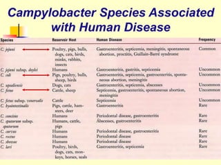 Campylobacter Species Associated
with Human Disease
 