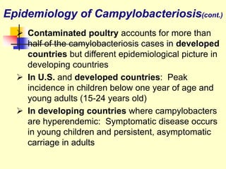  Contaminated poultry accounts for more than
half of the camylobacteriosis cases in developed
countries but different epidemiological picture in
developing countries
 In U.S. and developed countries: Peak
incidence in children below one year of age and
young adults (15-24 years old)
 In developing countries where campylobacters
are hyperendemic: Symptomatic disease occurs
in young children and persistent, asymptomatic
carriage in adults
Epidemiology of Campylobacteriosis(cont.)
 