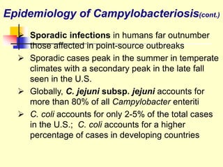  Sporadic infections in humans far outnumber
those affected in point-source outbreaks
 Sporadic cases peak in the summer in temperate
climates with a secondary peak in the late fall
seen in the U.S.
 Globally, C. jejuni subsp. jejuni accounts for
more than 80% of all Campylobacter enteriti
 C. coli accounts for only 2-5% of the total cases
in the U.S.; C. coli accounts for a higher
percentage of cases in developing countries
Epidemiology of Campylobacteriosis(cont.)
 