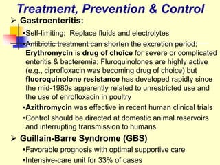  Gastroenteritis:
•Self-limiting; Replace fluids and electrolytes
•Antibiotic treatment can shorten the excretion period;
Erythromycin is drug of choice for severe or complicated
enteritis & bacteremia; Fluroquinolones are highly active
(e.g., ciprofloxacin was becoming drug of choice) but
fluoroquinolone resistance has developed rapidly since
the mid-1980s apparently related to unrestricted use and
the use of enrofloxacin in poultry
•Azithromycin was effective in recent human clinical trials
•Control should be directed at domestic animal reservoirs
and interrupting transmission to humans
 Guillain-Barre Syndrome (GBS)
•Favorable prognosis with optimal supportive care
•Intensive-care unit for 33% of cases
Treatment, Prevention & Control
 