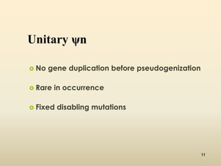 Unitary ψn 
 No gene duplication before pseudogenization 
 Rare in occurrence 
 Fixed disabling mutations 
11 
 