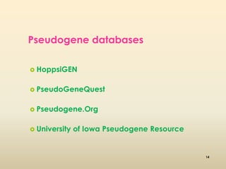 Pseudogene databases 
 HoppsiGEN 
 PseudoGeneQuest 
 Pseudogene.Org 
 University of Iowa Pseudogene Resource 
14 
 