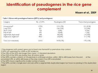 Identification of pseudogenes in the rice gene 
complement 
Nissen et al., 2009 
1 Pseudogenes (with parent gene and at least one frameshift or premature stop codon) 
2 GPFs not supported by cDNA or EST evidence 
3 The UTRs of the GPFs are longer than mean + 2 standard deviations 
4 The CDS of the GPFs are shorter than 50 amino acids 
5 The GPFs contain a stretch of 18 adenines in a 20-base window, within -200 to 400 bases from the end of the 
annotated UTR, or within 600 bases of the stop codon if no UTR is annotated 
6 The GPFs have a significantly smaller number of exons 
7 The GPFs contain a single exon and are within a segmentally duplicated region but have no paralog in the duplicated 
region 
15 
 
