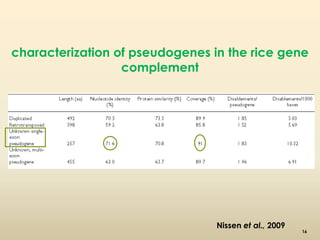 characterization of pseudogenes in the rice gene 
complement 
Nissen et al., 2009 
16 
 
