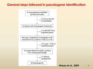 General steps fallowed in pseudogene identification 
Nissen et al., 2009 
17 
 