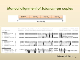 Manual alignment of Solanum ψn copies 
Peter et al., 2011 
19 
5' 3' 
 