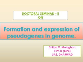 Shilpa V. Malaghan. 
II Ph.D (GPB) 
UAS, DHARWAD 
 