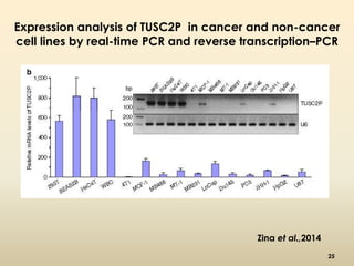 Expression analysis of TUSC2P in cancer and non-cancer 
cell lines by real-time PCR and reverse transcription–PCR 
Zina et al.,2014 
25 
 