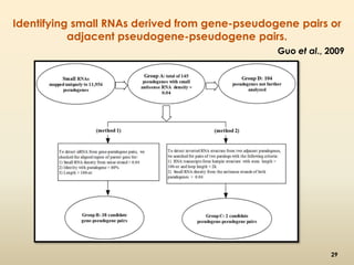 Identifying small RNAs derived from gene-pseudogene pairs or 
adjacent pseudogene-pseudogene pairs. 
Guo et al., 2009 
29 
 